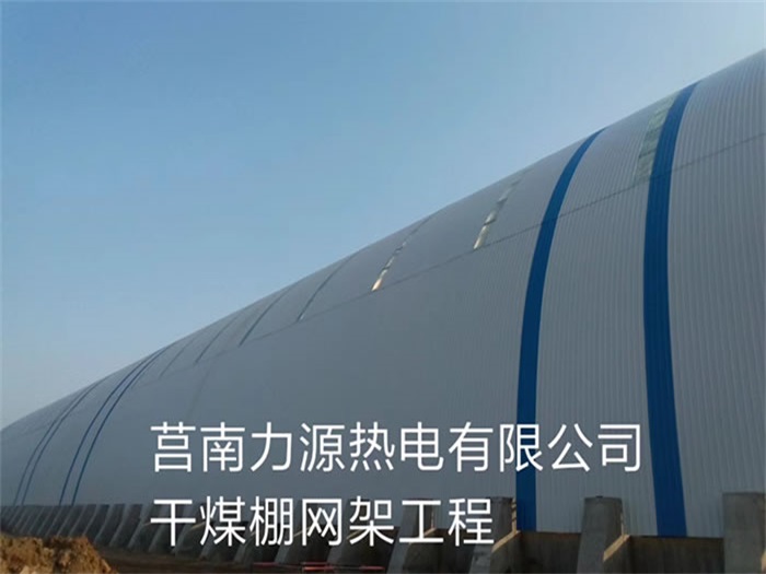 棗莊莒南力源熱電有限公司干煤棚網(wǎng)架工程
